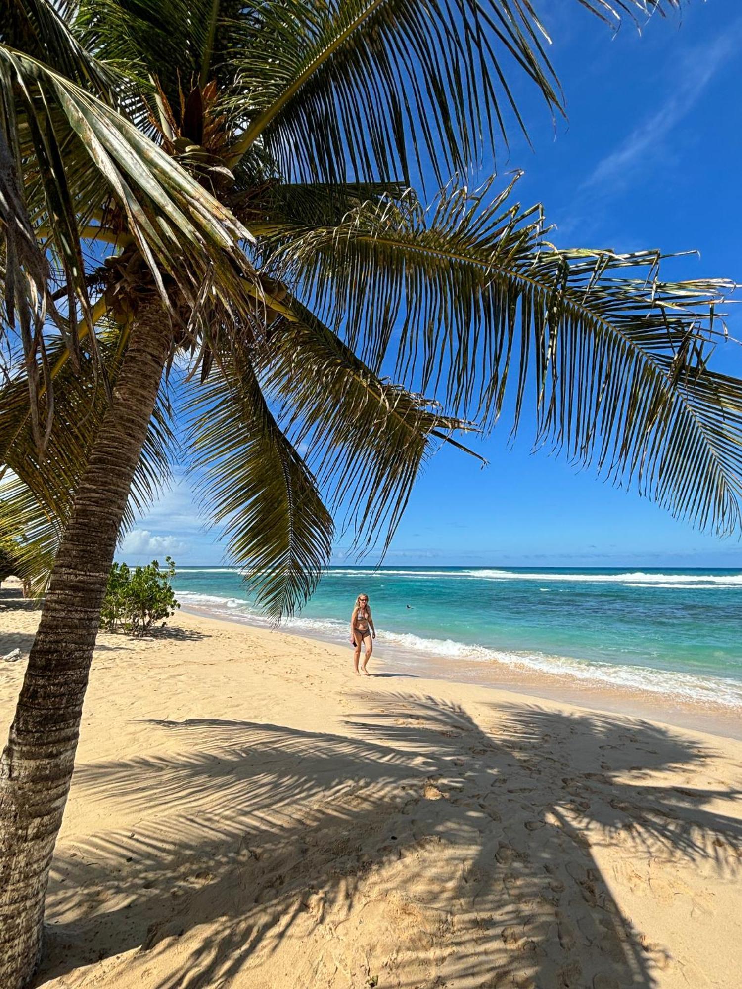 La Maison Creole Du Flamboyant - Proche Des Plages Anse-Bertrand Екстер'єр фото