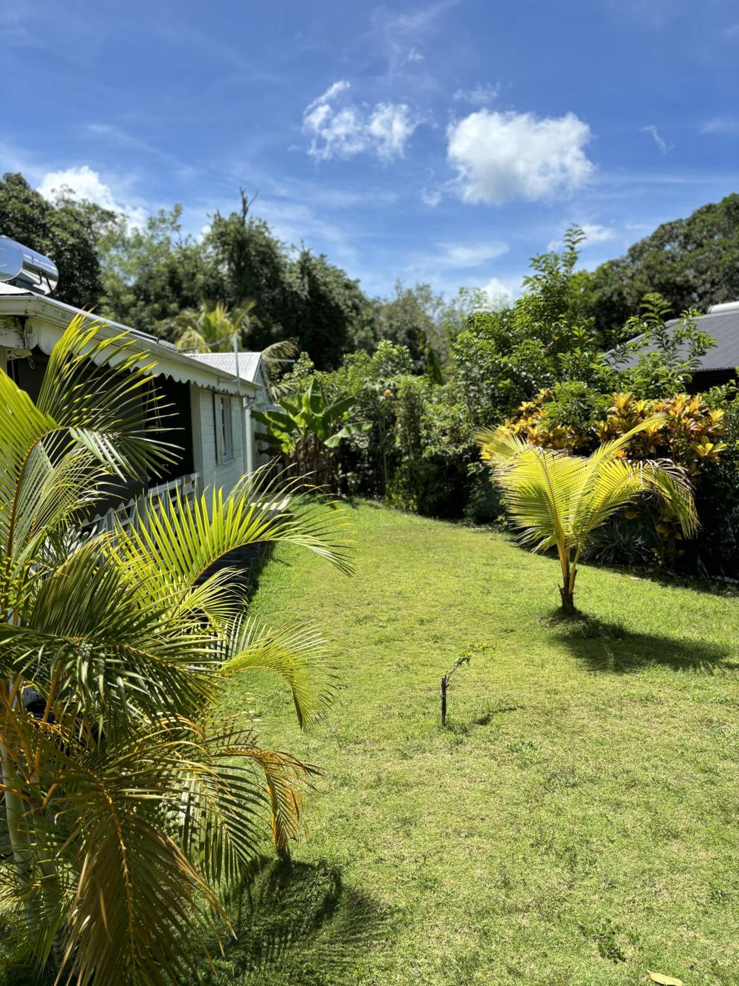 La Maison Creole Du Flamboyant - Proche Des Plages Anse-Bertrand Екстер'єр фото