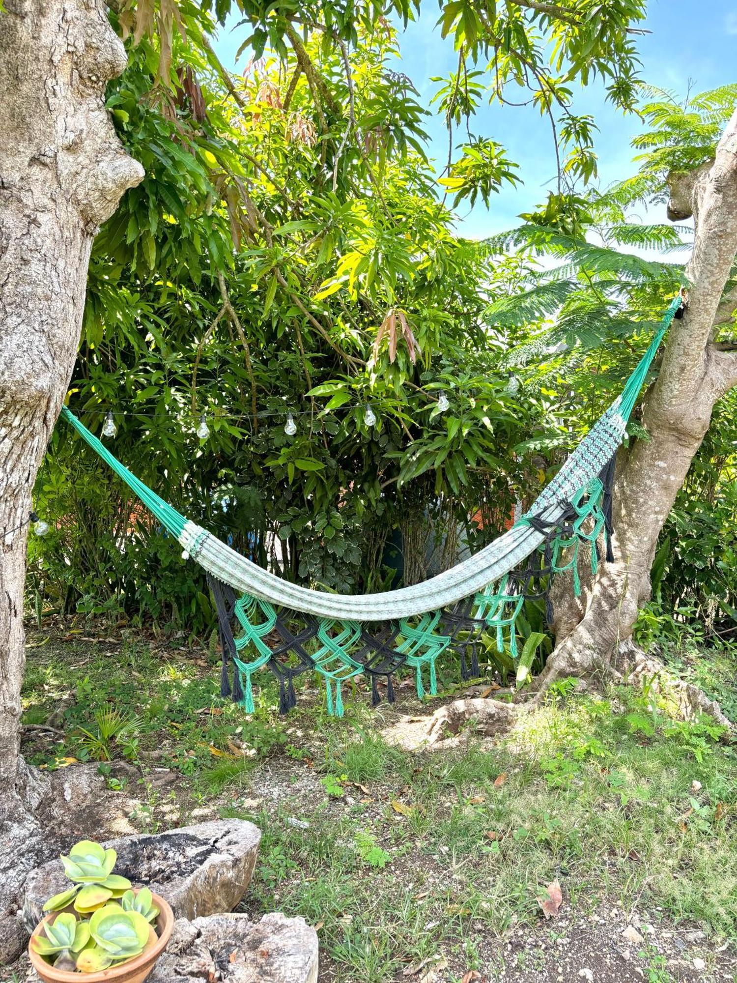 La Maison Creole Du Flamboyant - Proche Des Plages Anse-Bertrand Екстер'єр фото